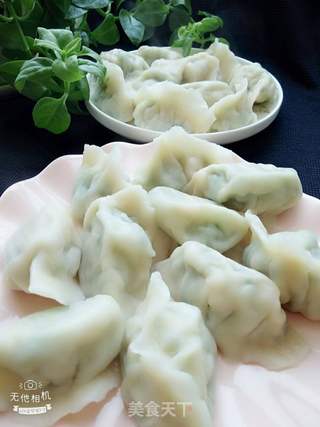黄瓜鸡蛋虾仁水饺的做法步骤:9