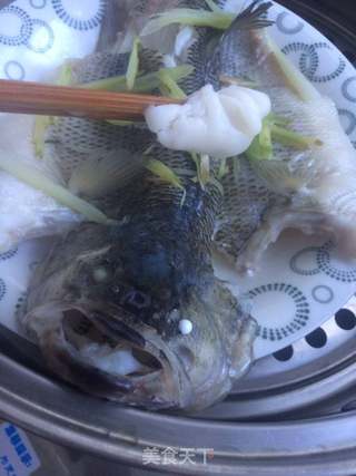 清蒸鲈鱼的做法步骤:5