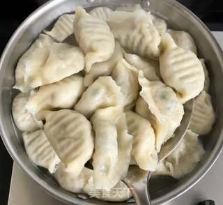 海蛎子萝卜丝猪肉水饺的做法步骤:11