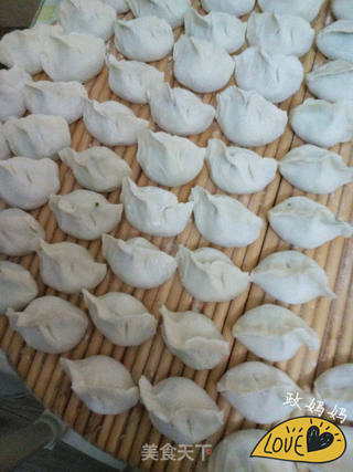荠菜饺子的做法步骤:12