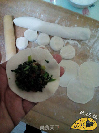 荠菜饺子的做法步骤:10