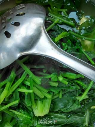 中午新做好的凉拌菜:姜汁菠菜;清爽的素菜:冬瓜炒虾皮的做法步骤:5