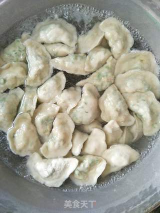 豆角鸡蛋饺子的做法步骤:16