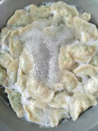 豆角鸡蛋饺子的做法步骤:17