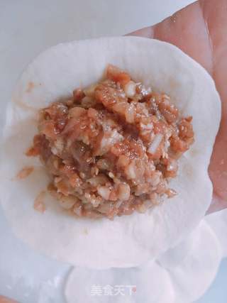茄子猪肉包的做法步骤：11