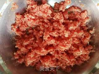 简易版牛肉水煎包的做法步骤:2