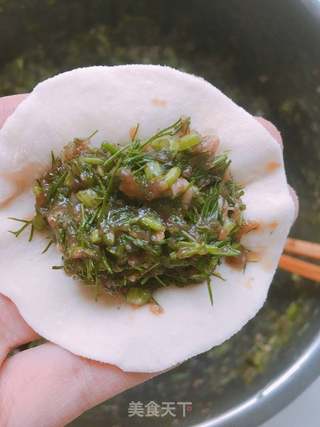 茴香猪肉水饺的做法步骤:11