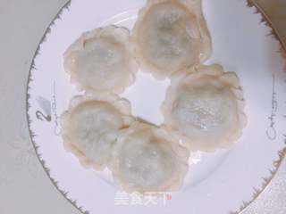 茴香猪肉花式水饺的做法步骤:14