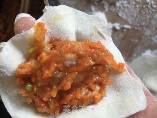 胡萝卜大虾饺子的做法步骤:16