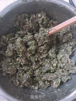 茴香猪肉包子的做法步骤:6