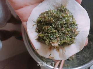 茴香猪肉包子的做法步骤:10