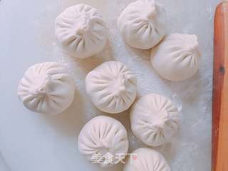 茴香猪肉包子的做法步骤:12