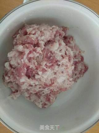 胡萝卜肉包的做法步骤:10