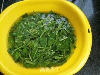 芥末油拌菠菜的做法步骤:5