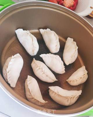 白菜豆腐煎饺的做法步骤:5