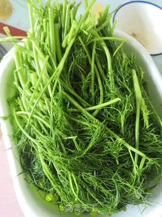 饺子好吃?双色茴香鸡肉馅的做法步骤:7