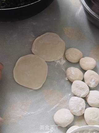 饺子好吃?双色茴香鸡肉馅的做法步骤:9