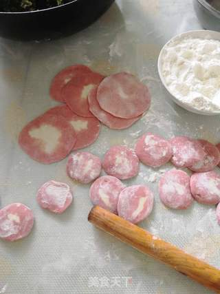 饺子好吃?双色茴香鸡肉馅的做法步骤:10
