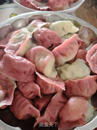 饺子好吃?双色茴香鸡肉馅的做法步骤:12