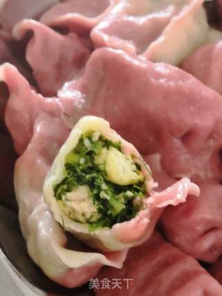 饺子好吃?双色茴香鸡肉馅的做法步骤:13