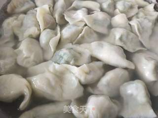韭菜虾仁肉三鲜饺子的做法步骤:8