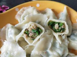 韭菜虾仁肉三鲜饺子的做法步骤:9