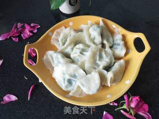 韭菜虾仁肉三鲜饺子的做法步骤:10