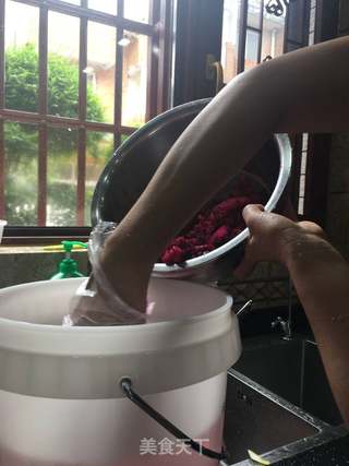 火龙果酵素的做法步骤:15