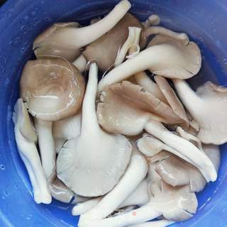 酿腐皮肉卷的做法步骤:2