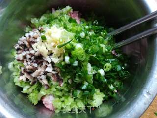 芹菜饺子的做法步骤:4