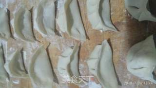 冬瓜馅水煎饺的做法步骤:9