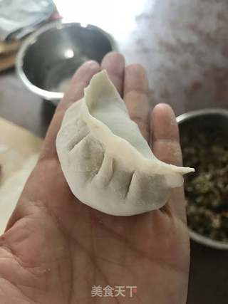 芦笋木耳虾仁水饺(完整版)的做法步骤:19