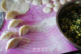 韭菜杏鲍菇馅水饺的做法步骤:7