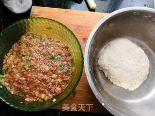 茄瓜粉条猪肉饺的做法步骤:5
