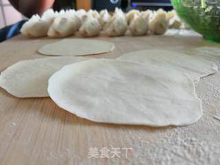 茄瓜粉条猪肉饺的做法步骤:7