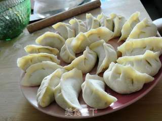 茄瓜粉条猪肉饺的做法步骤:8
