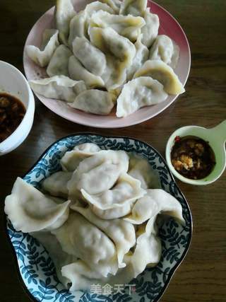 茄瓜粉条猪肉饺的做法步骤:9