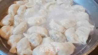 鸡蛋虾皮水饺的做法步骤:14