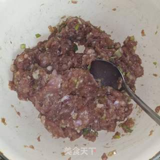 韭菜白菜猪肉水饺的做法步骤:6
