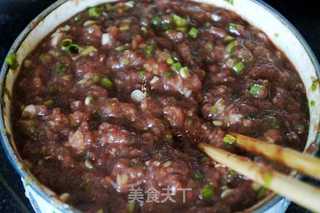 鸵鸟肉蒲公英馅水饺的做法步骤:4