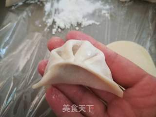 红萝卜玉米饺子的做法步骤:13