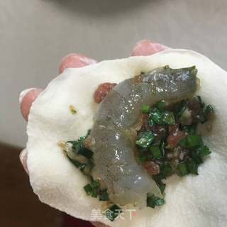鲜虾煎饺的做法步骤:14