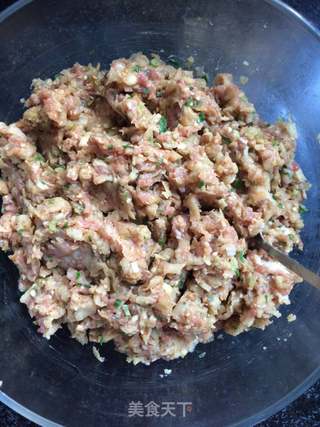 茄子猪肉水饺的做法步骤:9