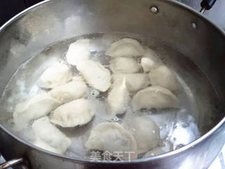 木耳圆白菜猪肉馅水饺的做法步骤:8