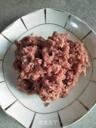 羊肉冬瓜玉米面蒸饺的做法步骤:7
