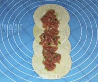 玫瑰鲜肉煎饺的做法步骤:5