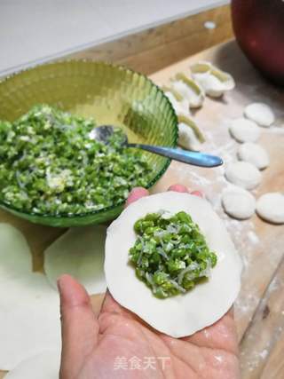 豆角鸡蛋粉丝饺子的做法步骤:7