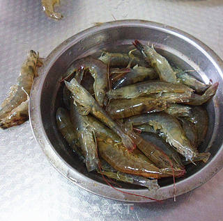 油烹活虾的做法步骤:2
