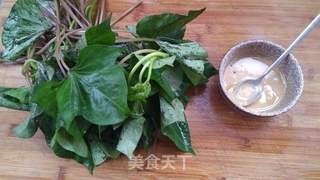 麻酱红薯叶的做法步骤:7