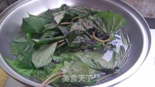 麻酱红薯叶的做法步骤:11